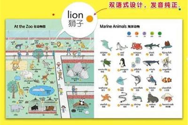狮子用英语怎么读