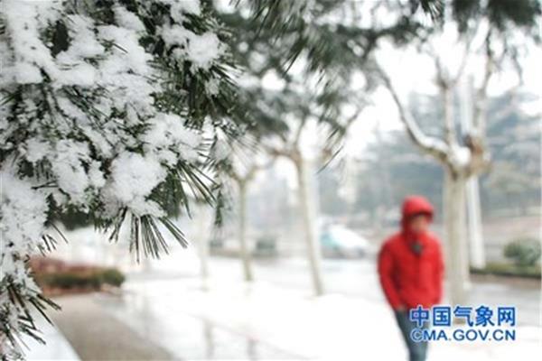 山东气象网