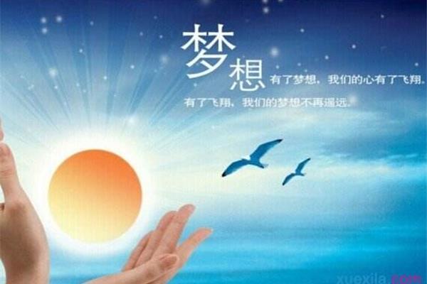 最美的梦想