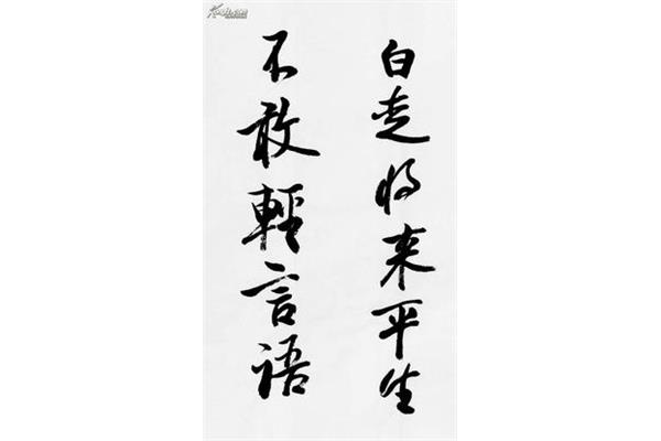 满身雪白走将来