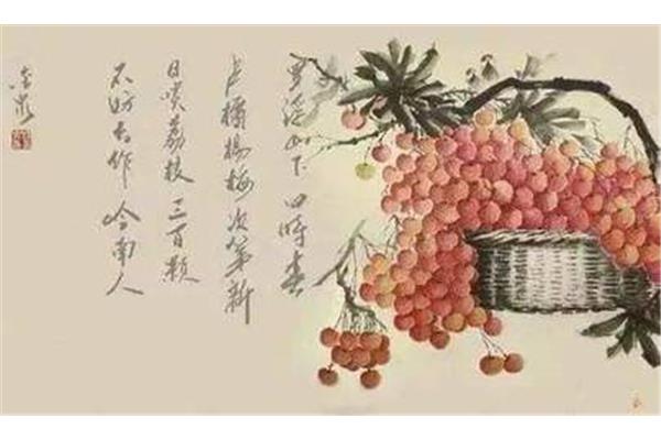 荔枝的诗句