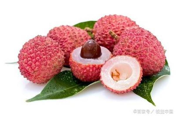 荔枝的诗句