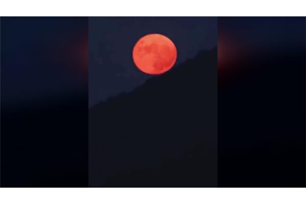 一起看月亮爬上来