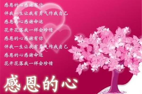 懂得感恩的人