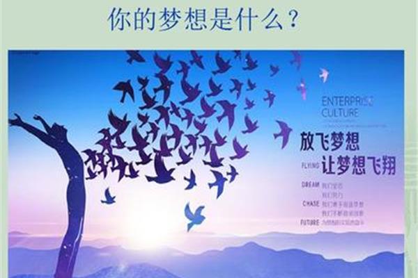 让梦想飞翔