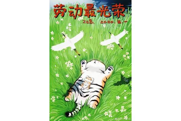 关于老虎的故事