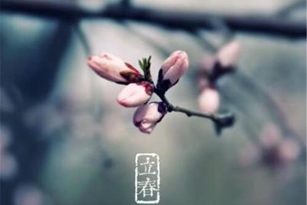 立春是什么意思