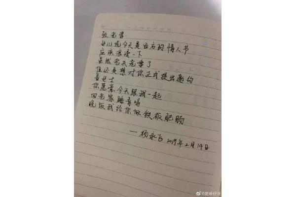 给老婆的情书