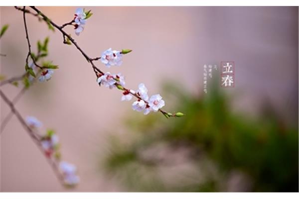 立春是什么意思