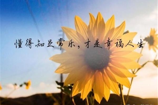 懂得感恩的人