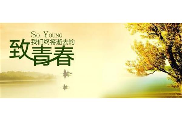 描写青春的句子
