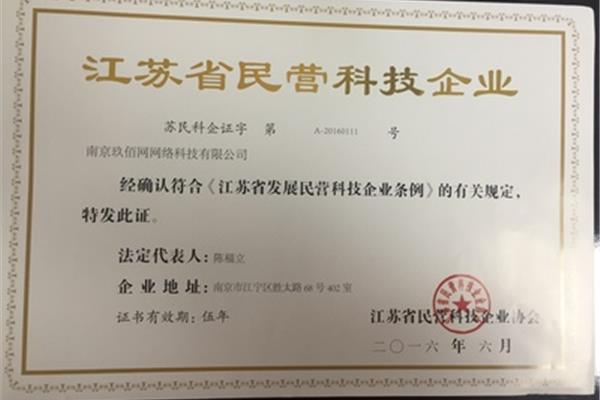 民营科技企业