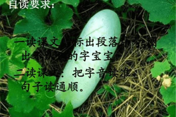 描写青春的句子