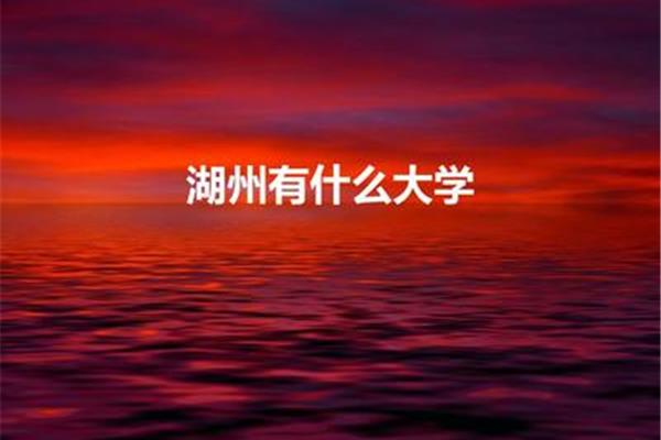 湖州有什么大学