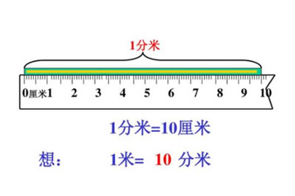 一分米是多少厘米