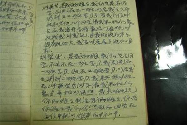 文学作品摘抄