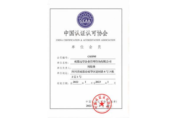 中国咨询协会