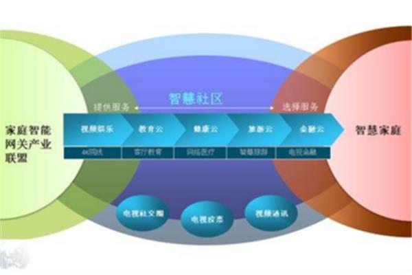 网络营销类型