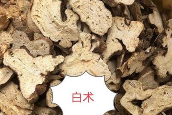 茯苓白术汤