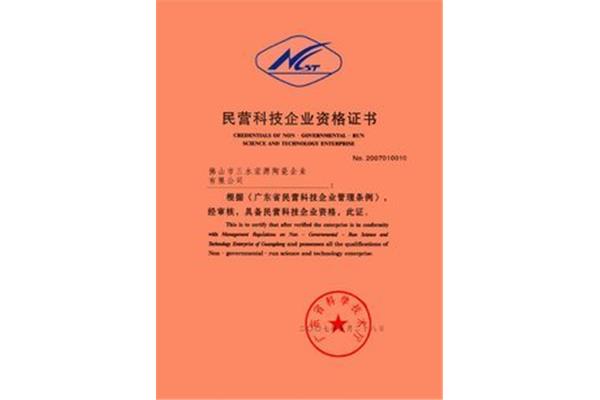民营科技企业