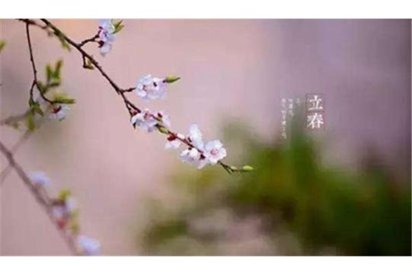 立春是什么意思