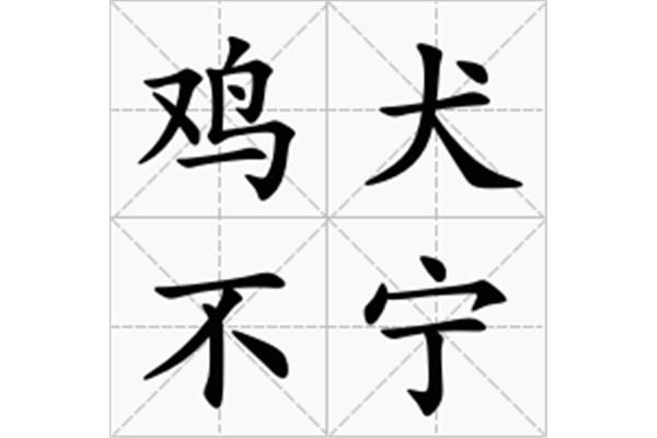 鸡开头的成语