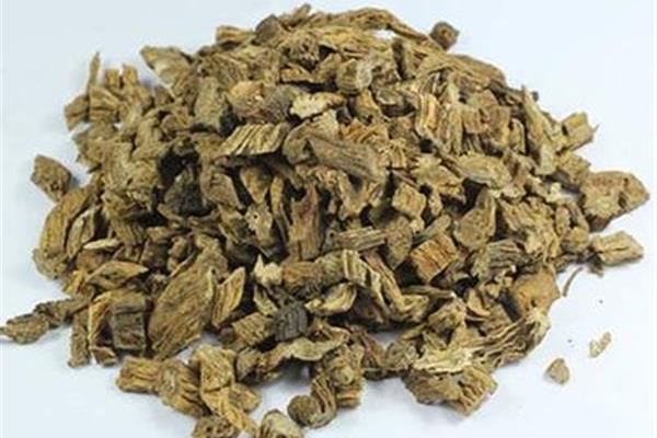祛痰的中药有哪些