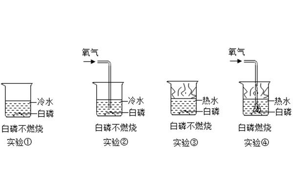 可燃物燃烧的条件