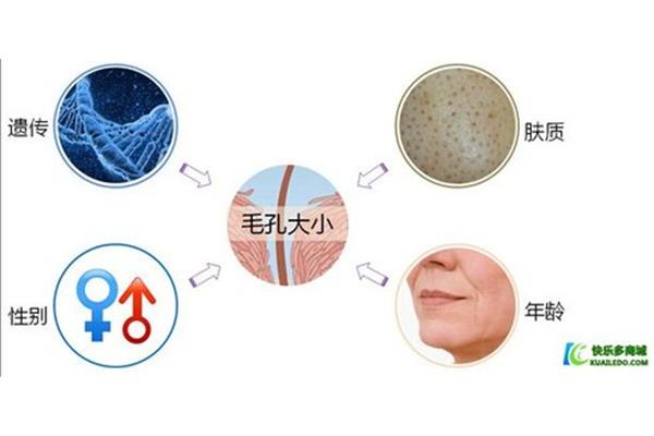 毛孔粗大原因