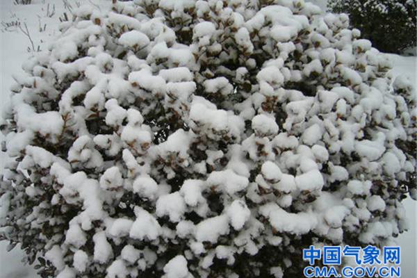 山东气象网