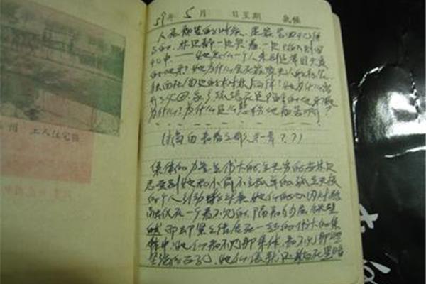 文学作品摘抄