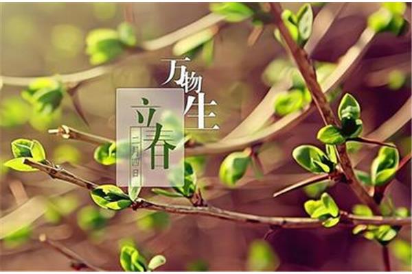 立春是什么意思
