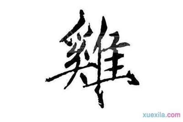 鸡开头的成语