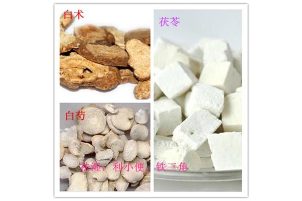茯苓白术汤