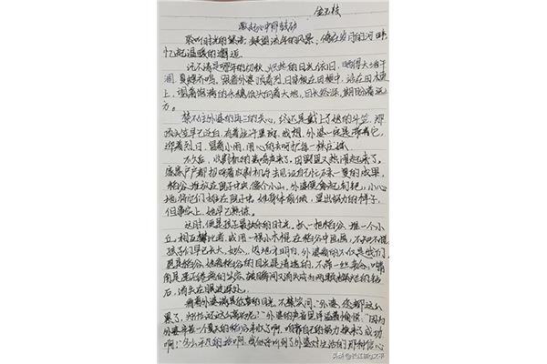 心中的太阳作文