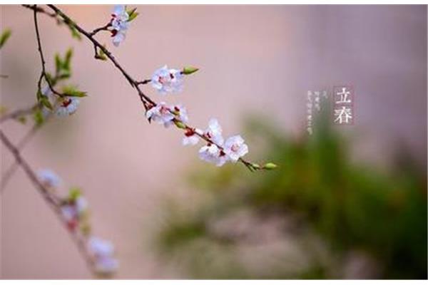 立春是什么意思