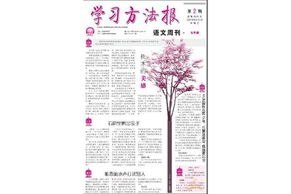 学习语文的方法