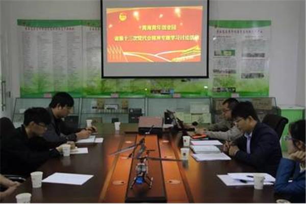 团委工作报告
