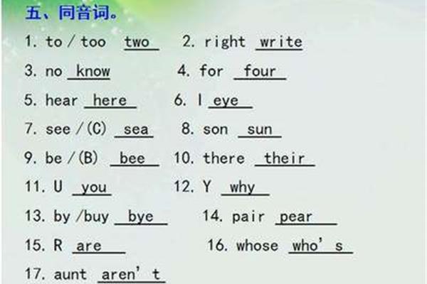too同音词
