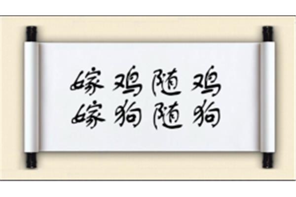 鸡开头的成语