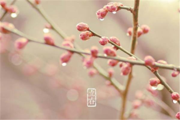 立春是什么意思