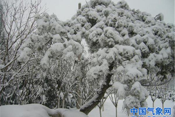 山东气象网