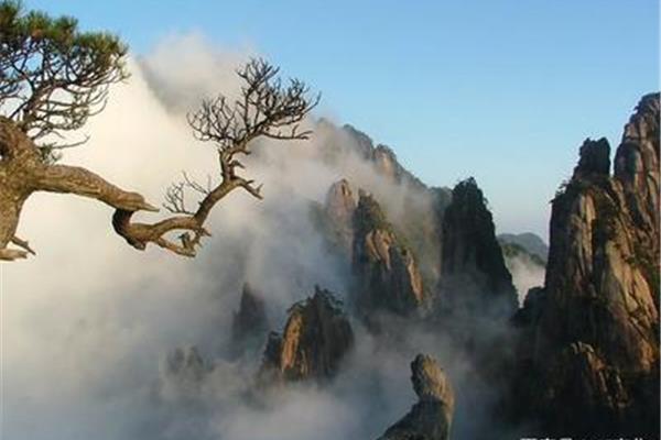 黄山的四绝是什么