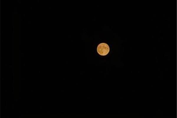 一起看月亮爬上来
