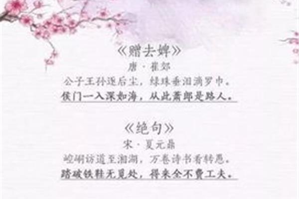 爱的名言警句