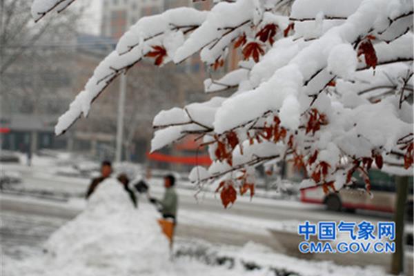 山东气象网