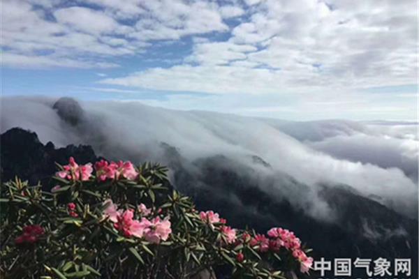 黄山的介绍资料