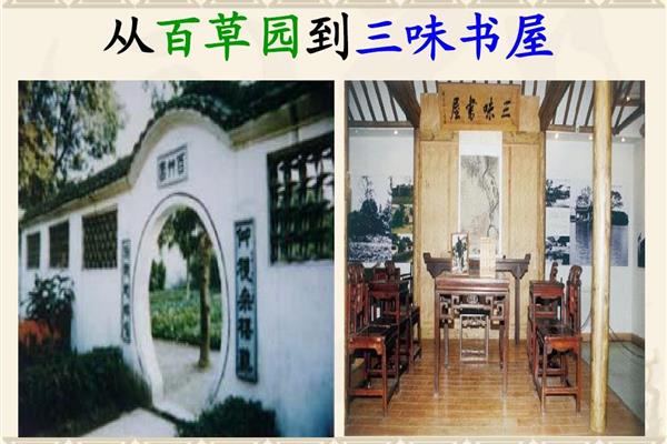 百草园与三味书屋