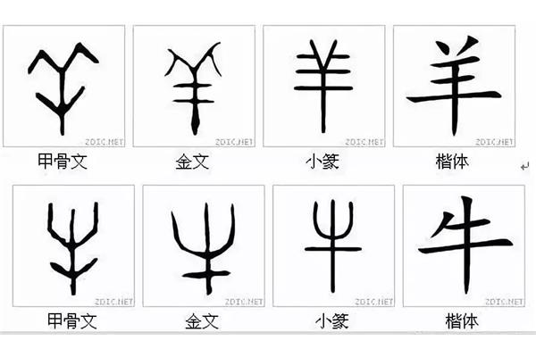 字的演变过程