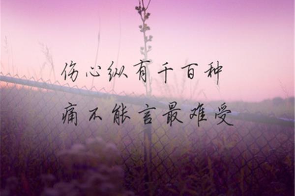 人生最美好的遇见
